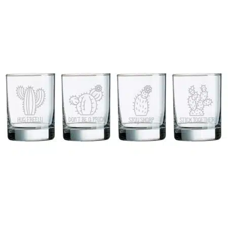 Advice from a Cactus Rocks Glasses